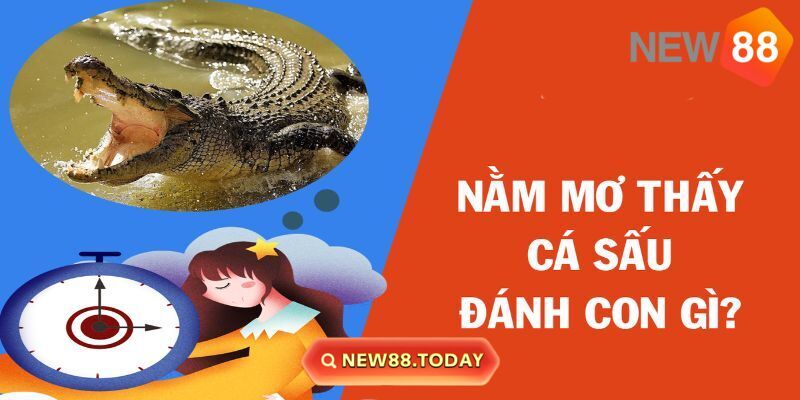Luận số lô đề nằm mơ thấy cá sấu Luận số lô đề nằm mơ thấy cá sấu